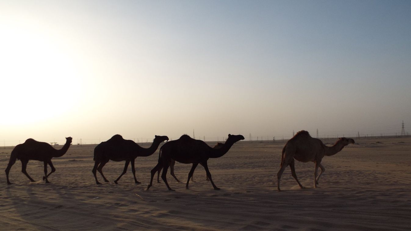 Egy kis ország a Perzsa-öböl, más néven az Arab-öböl partján