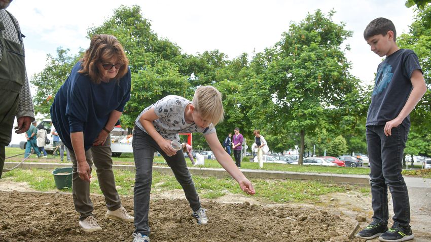 Duol Milyen Feladatok Vannak A Kertben Szeptemberben