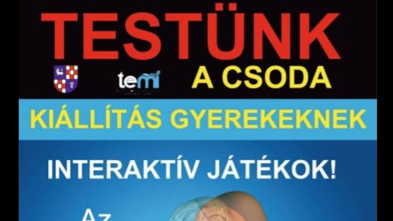 Interaktív tárlat nyílik a Munkásművelődési Központban