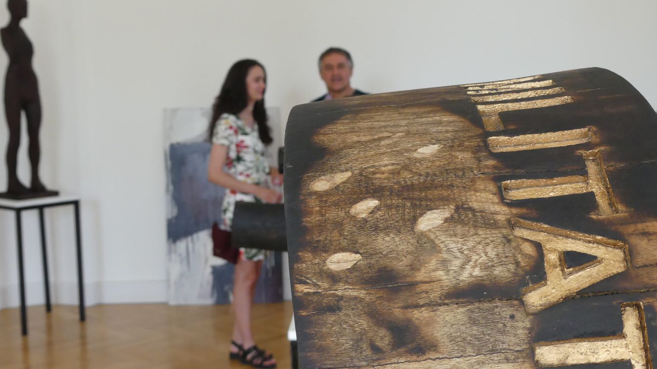 Rohonczi ROHO István képzőművész kiállítása a Győry-kastélyban