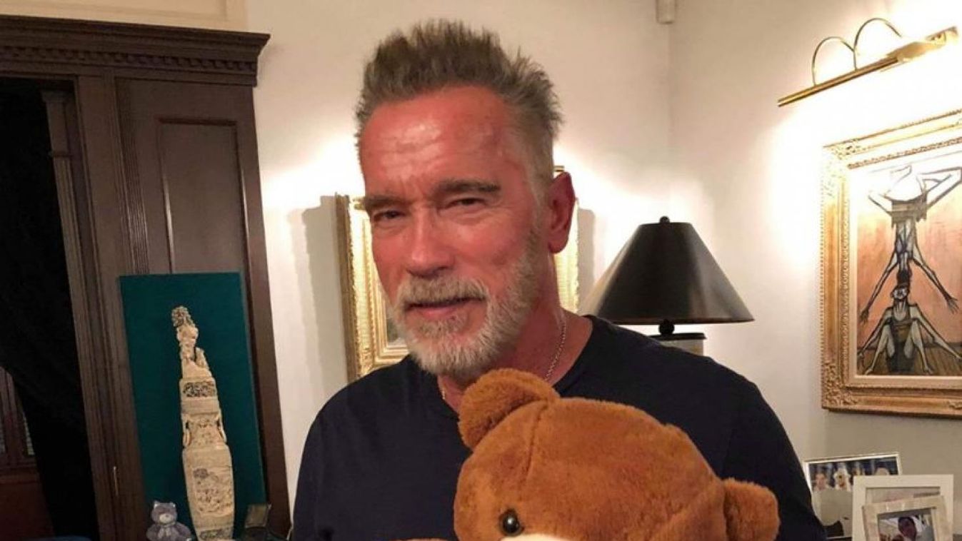 Ön is licitálhat Banderas és Schwarzenegger macijára