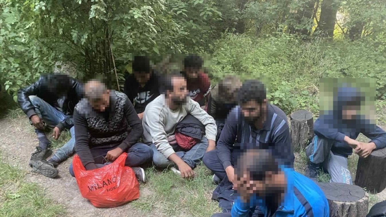 Tizenkét illegális migránst fogtak Fejérben