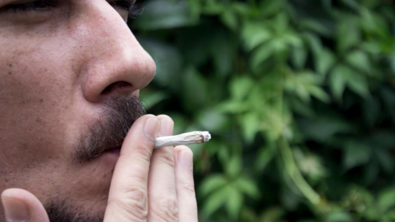 Az óriási áramfogyasztás buktatta le a marihuánatermesztőket