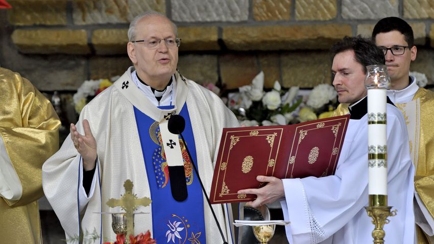 Péter Erdő: Pope Francis paid attention to our problems and our situation