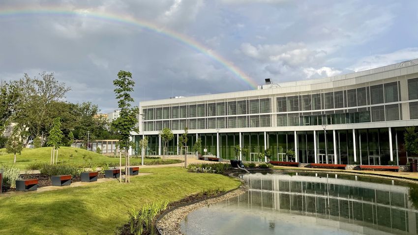 They created a unique architectural vision focusing on the students of the future at the Faculty of Medicine in Pécs