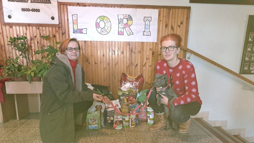 They could hear a presentation about the work at the shelter and the animals kept there