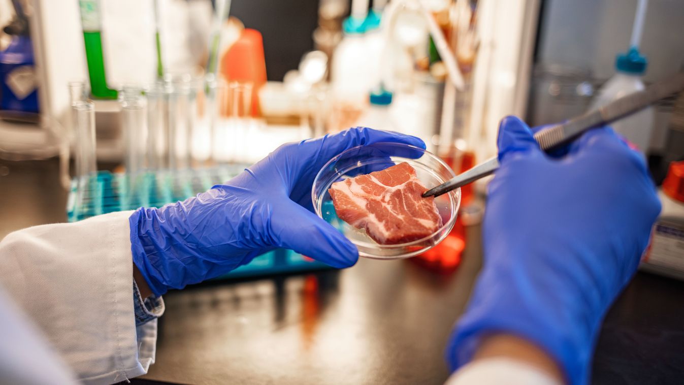 DUOL – Megdöbbentő fejlesztések – egyre olcsóbban állítják elő a műhúst