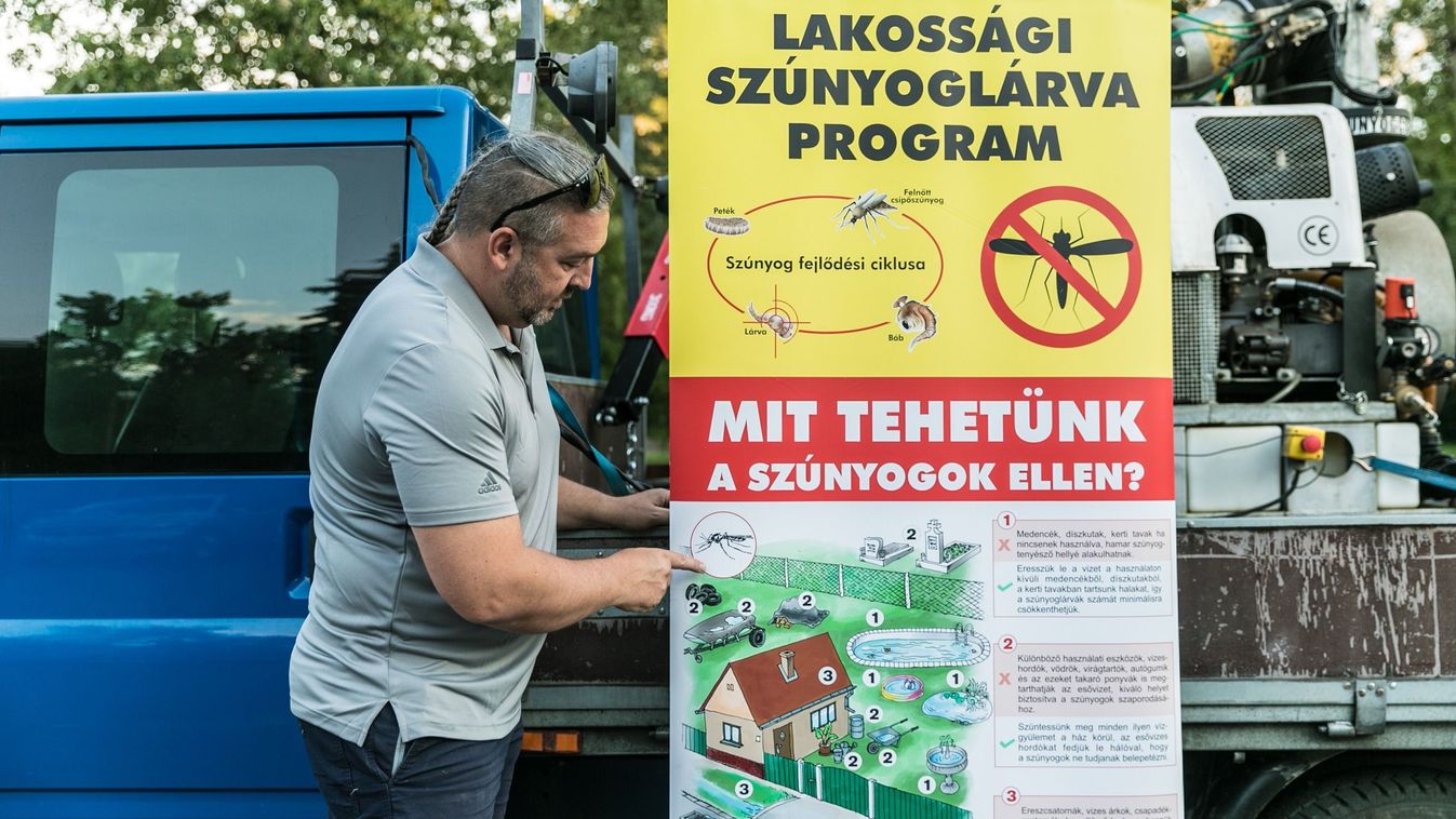 Fájdalmas idő jön: szúnyogok inváziója