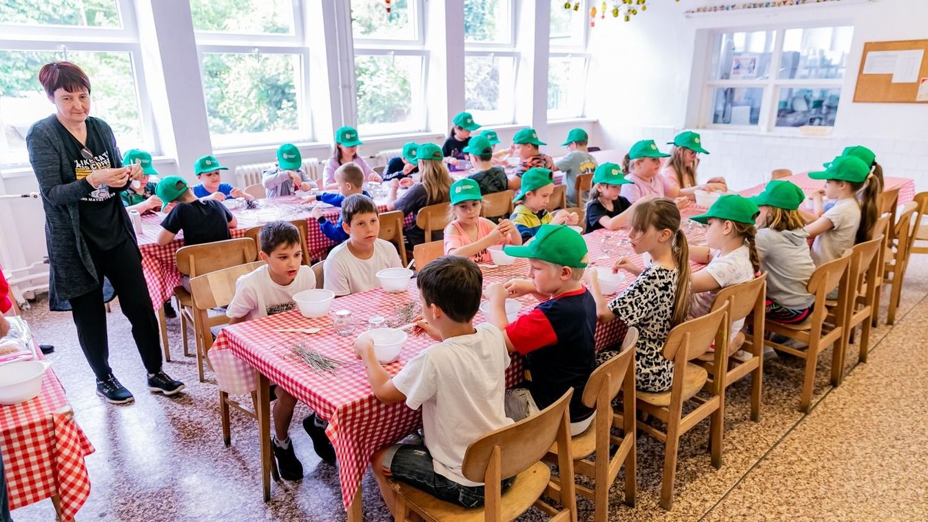 Cicaterápia, teafűkészítés, arborétumi kalandok is várták a petőfis kisdiákokat