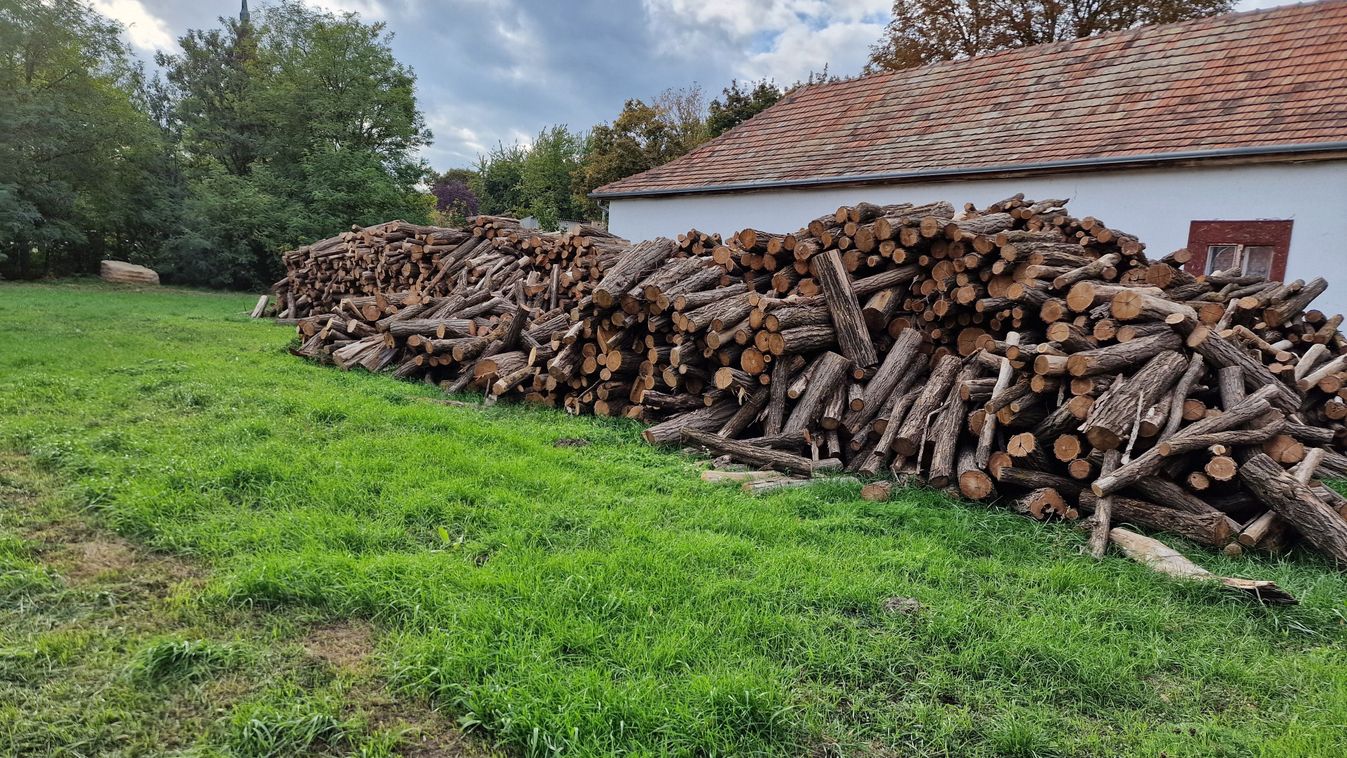 Szociális tűzifa - hétfőig lehet beadni a kérelmet
