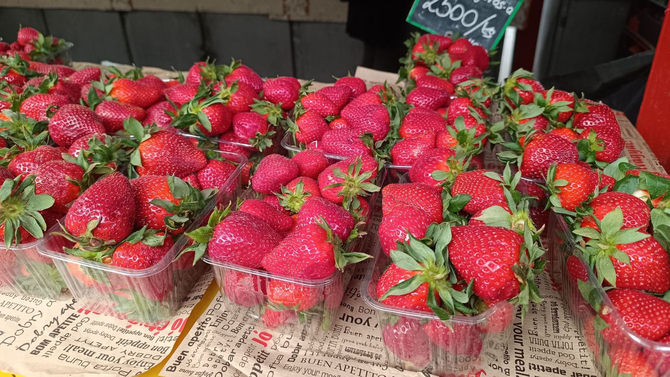 Dunaújvárosi piac Színek és ízek