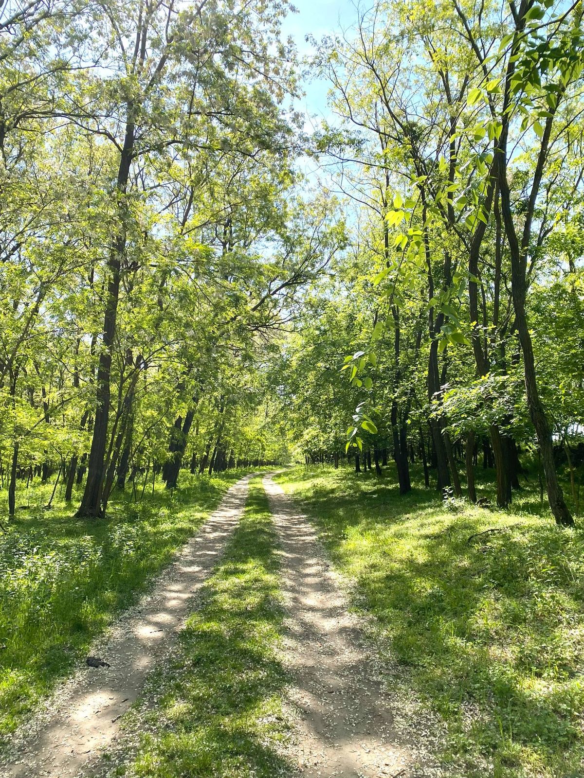 kellemes idővel