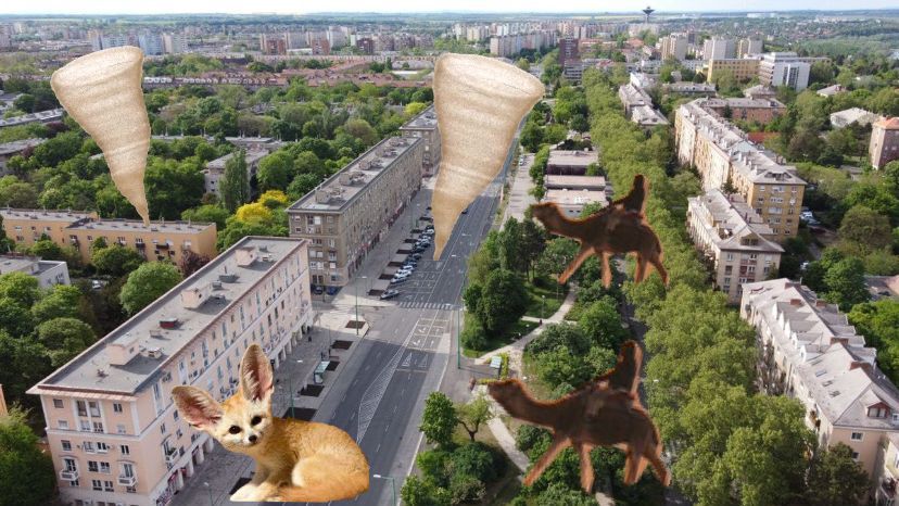 időjárás