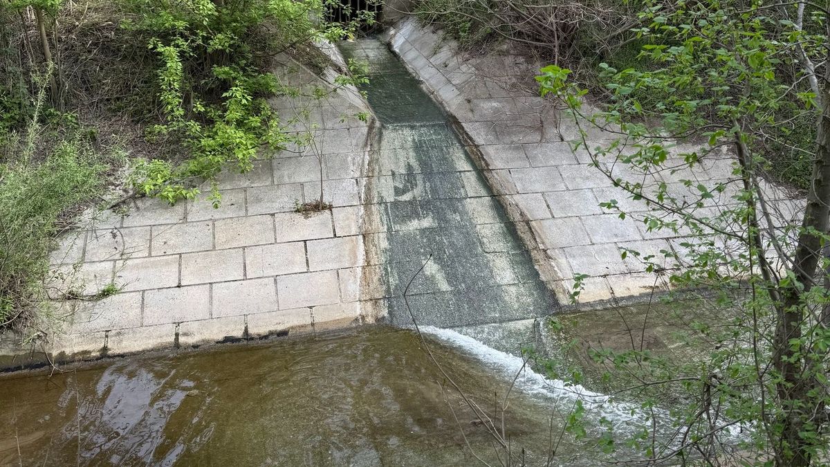 bűzös szaghatás