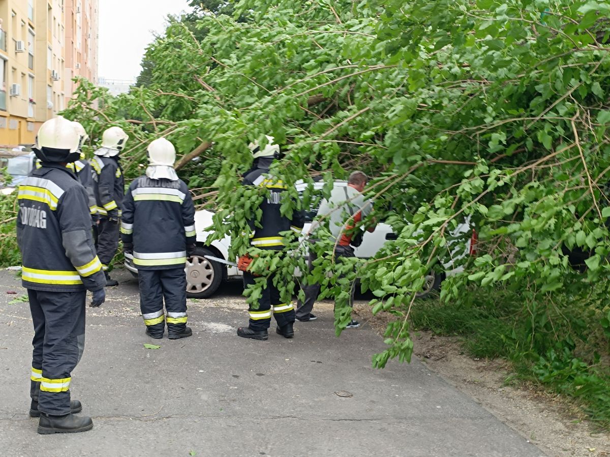 Dunaújváros legfontosabb hírei