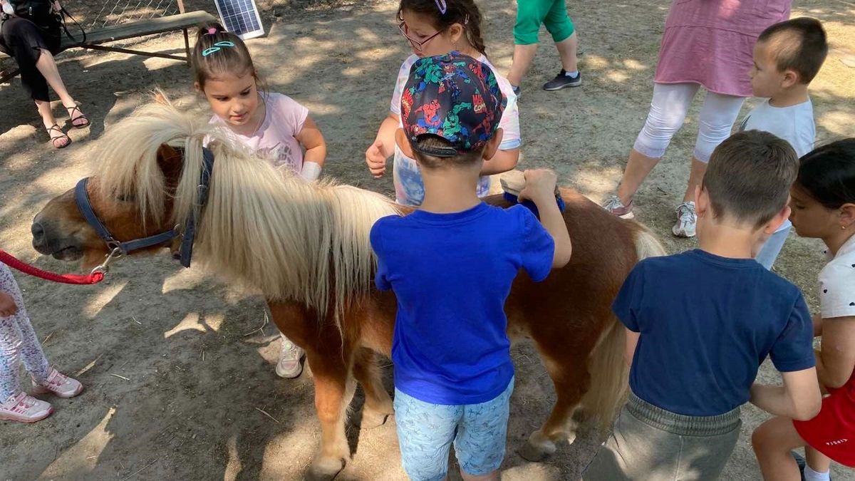 Percek alatt meghalhat a kocsiban!