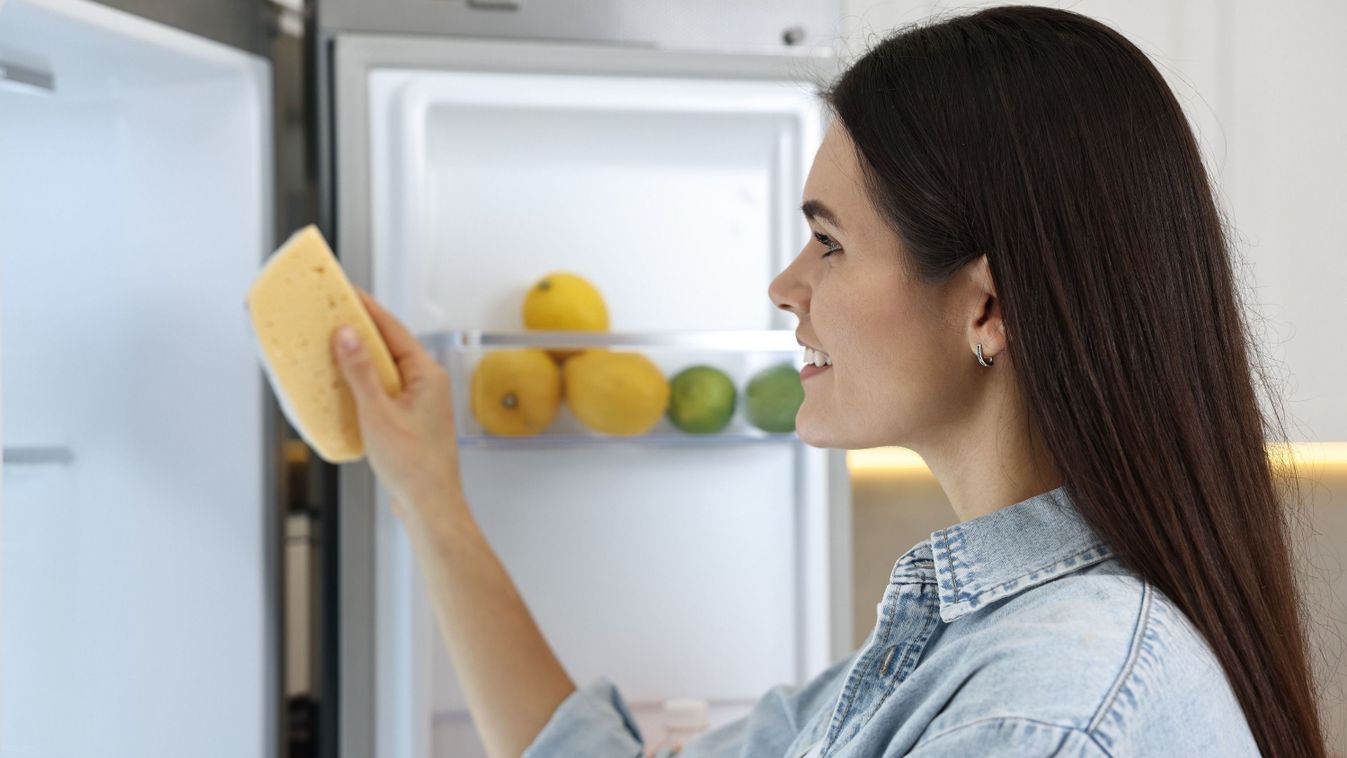Ha így tárolja a sajtot, hetekig megőrzi a frissességét