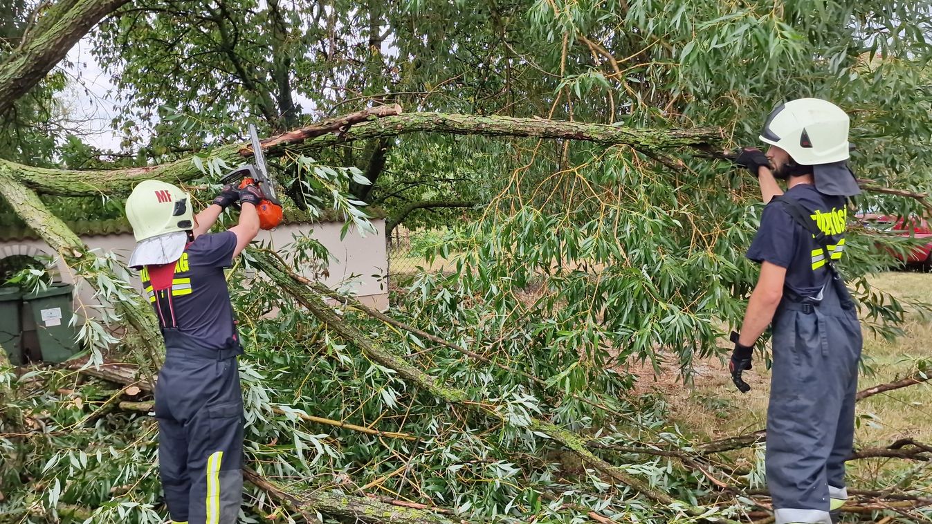 Mezőfalvát sem kímélte a vihar – fa zuhant vezetékre és autóra