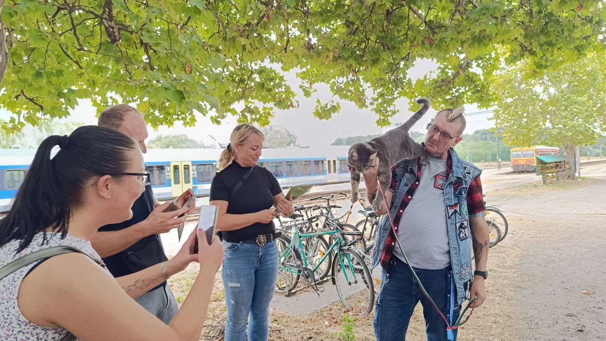 Itt járt Géza úr, az ország legismertebb macskája és a gazdája – videóval, galériával