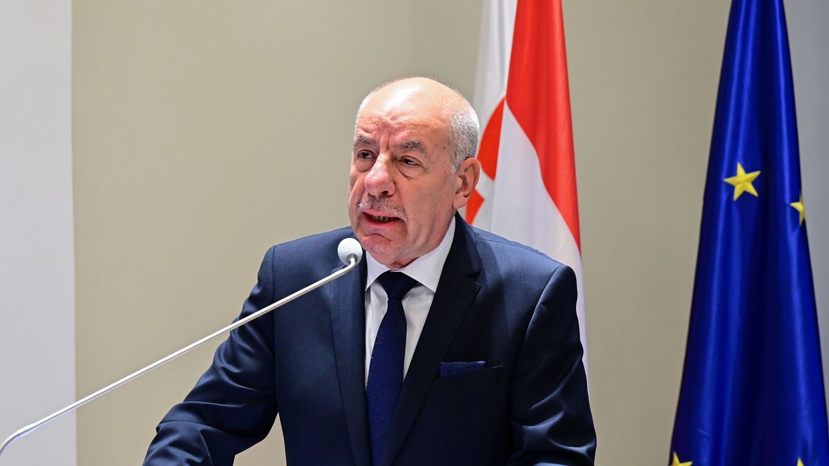 Sulyok Tamás: A szabadságharc azt üzeni nekünk, hogy az emberi méltósághoz hozzátartozik a nemzet méltósága is