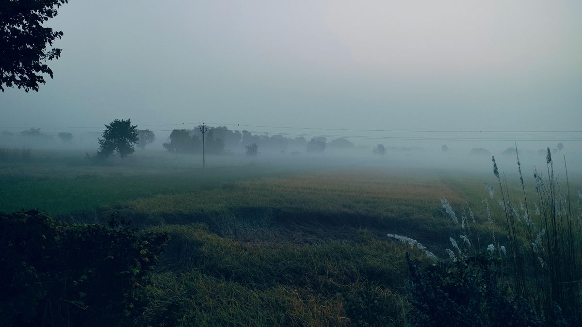 Hűvös novemberi reggel ködfátyolban – Így alakul a holnapi idő