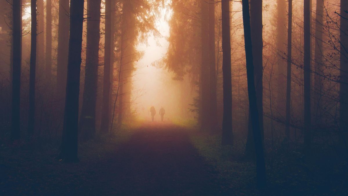 Hajnali homály és hűvös levegő – Holnapi időjárás kilátások