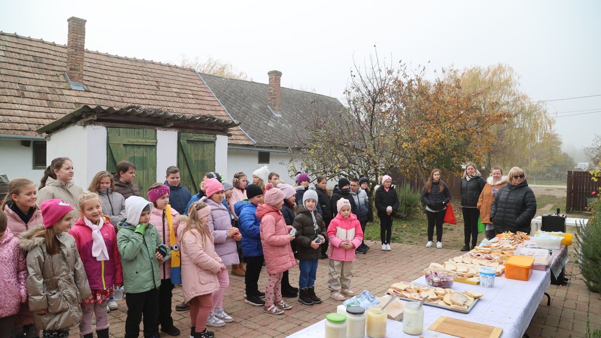 A libák elárulták merre van Márton, tovább élő népszokás – galériával, videóval