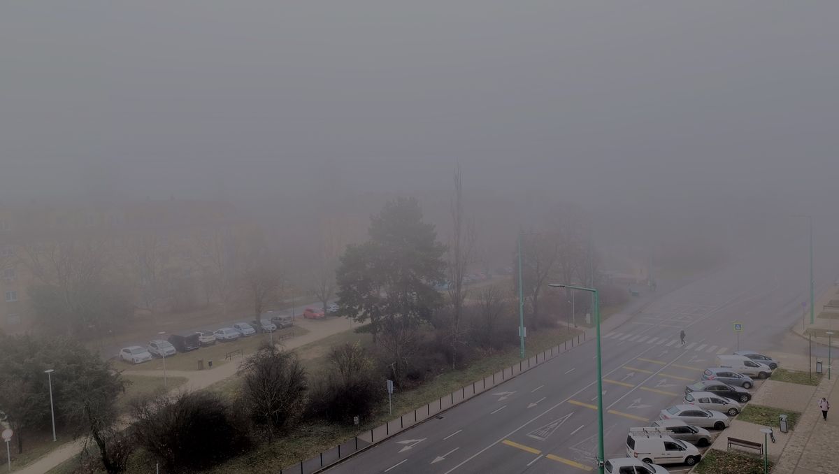 Citromsrga figyelmeztets a sr kd miatt - vatosan!