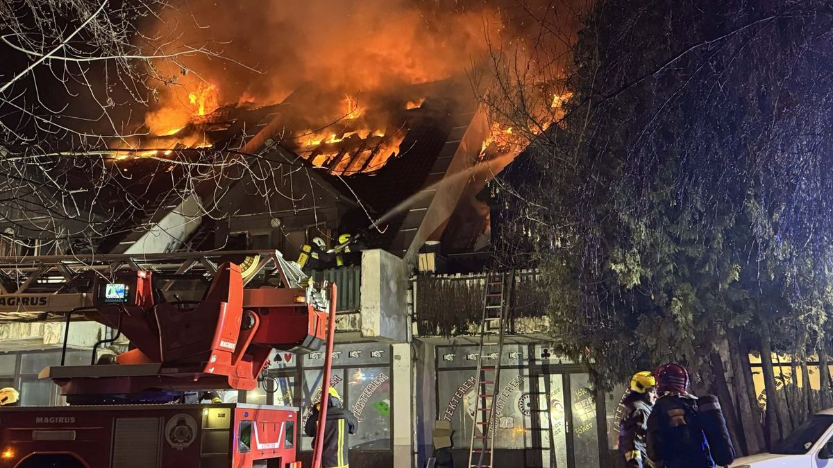 Borzalom Budakeszin: halálos tűz pusztított a munkásszálón (videó)