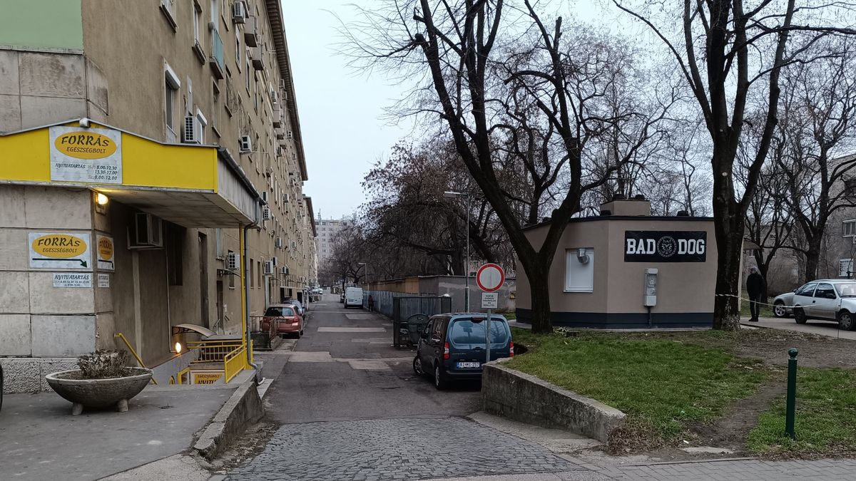 Minden a régi, csak új helyen a "Rosszkutyák"