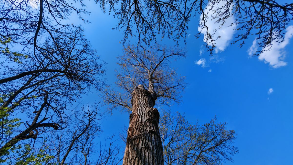 Felhők jönnek, de gyorsan tovább is állnak + videó