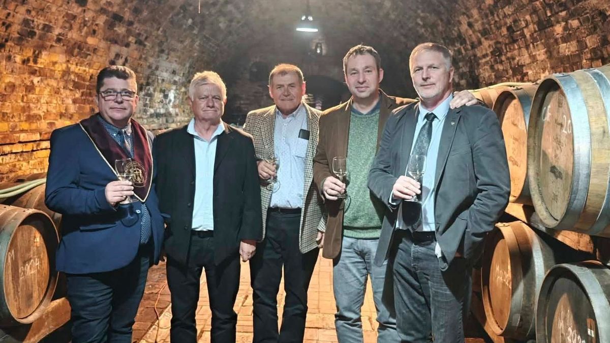 Nemzetközi olaszrizlingverseny hatalmas adonyi sikerrel