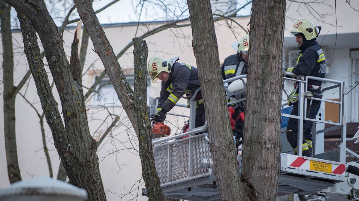 Letépte a szél a tetőket és táblákat – sorra riasztották a tűzoltókat