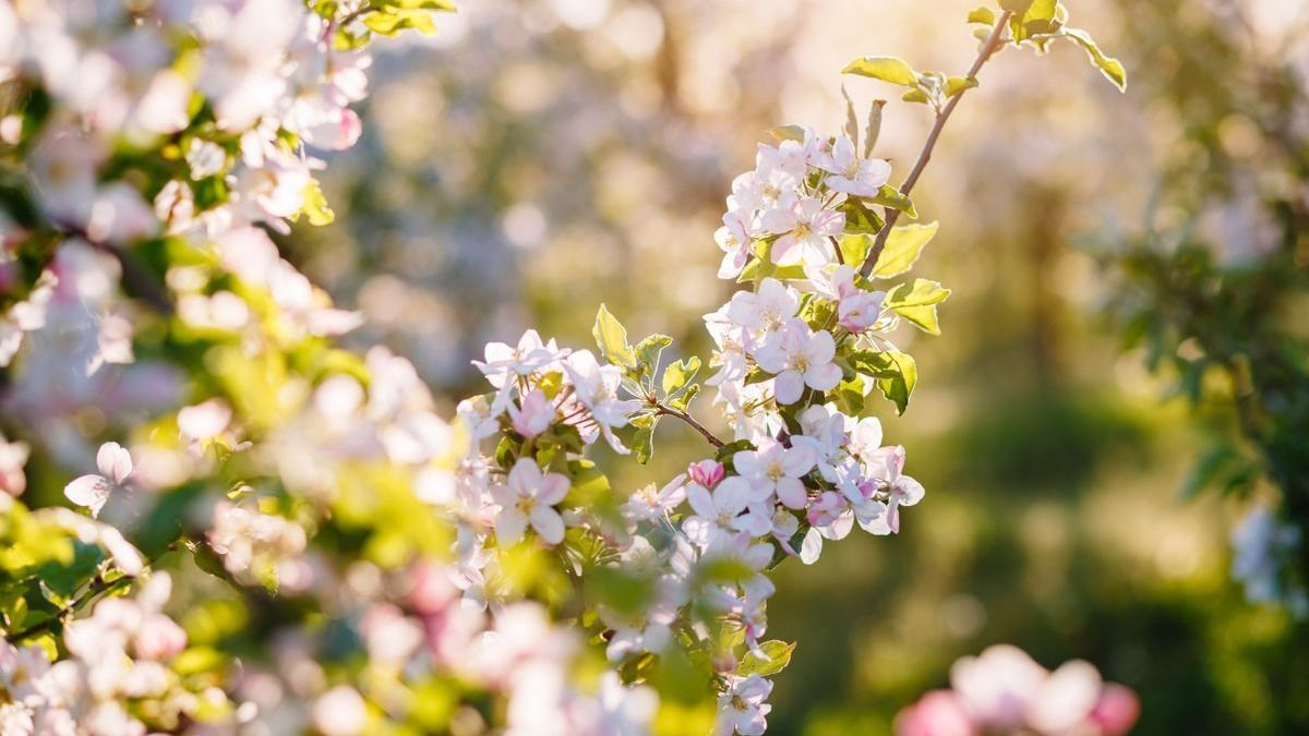 Reggel napszemüveg, délután már esernyő? – ilyen lesz a holnapi időjárás