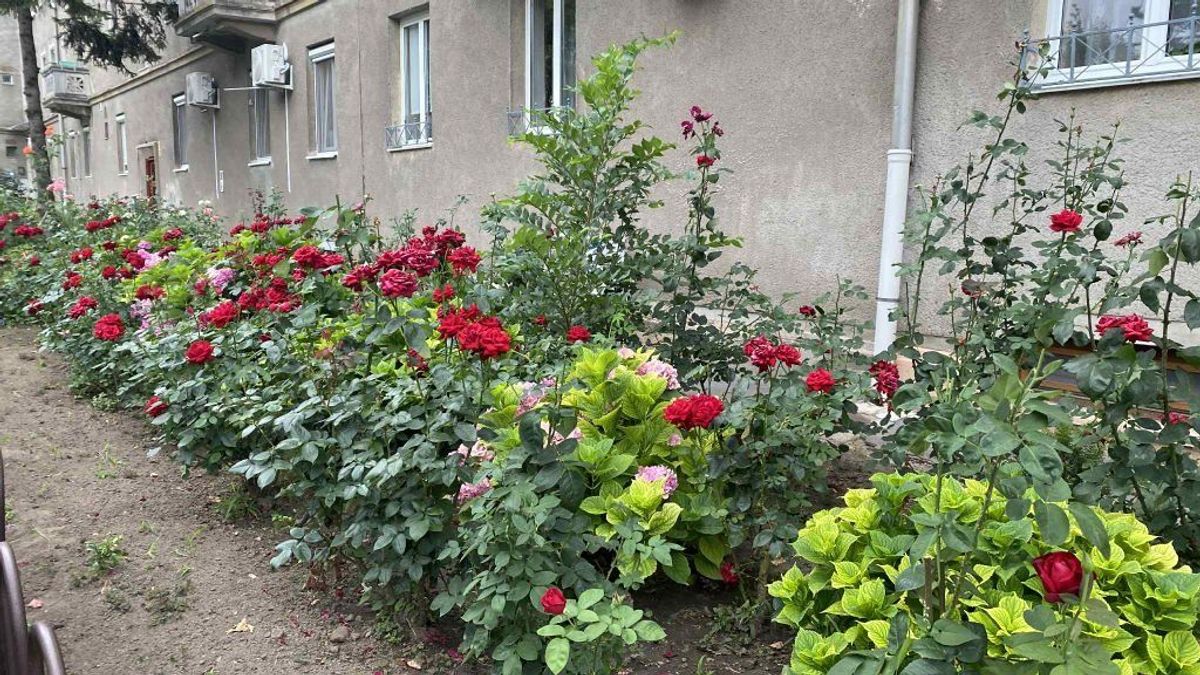 Dunaújváros virágcsodái újra versenybe szállnak, ha tiéd a legszebb, ne habozz!