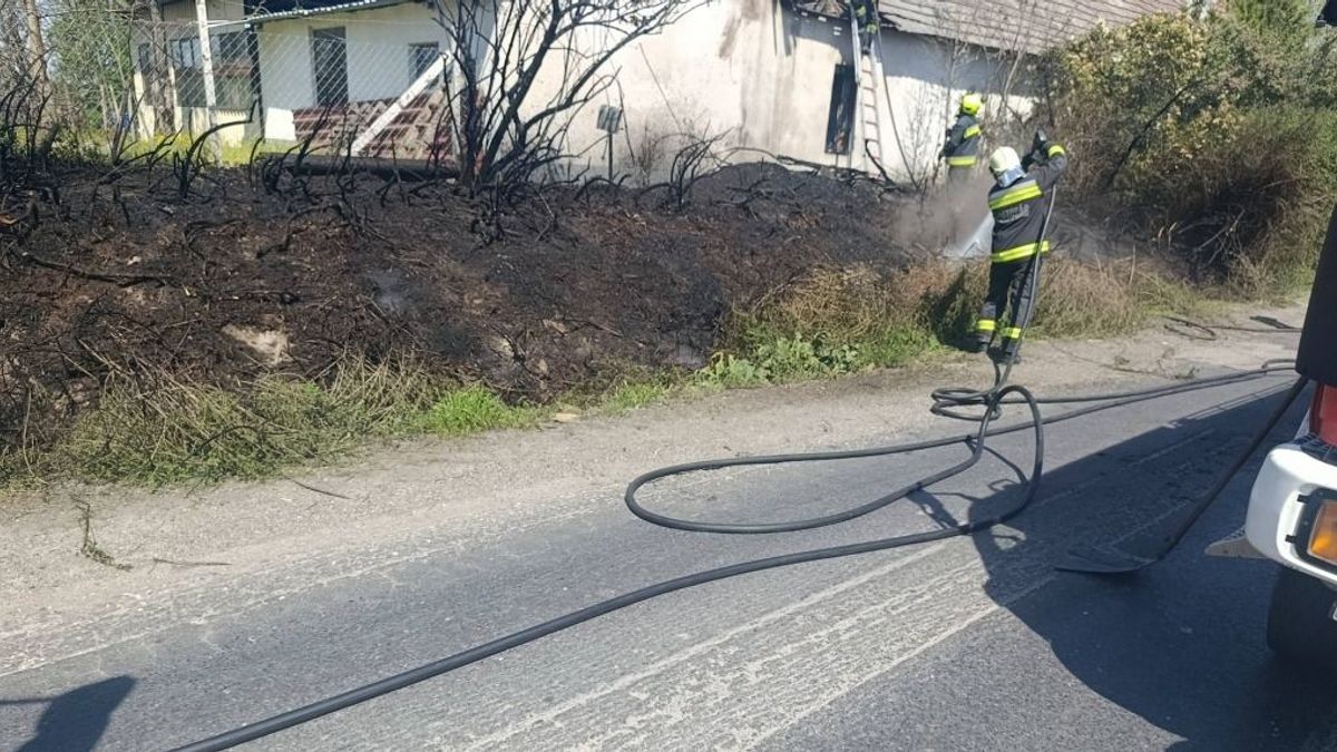 Gyorsan terjedtek a lángok az 51-es főút mellett