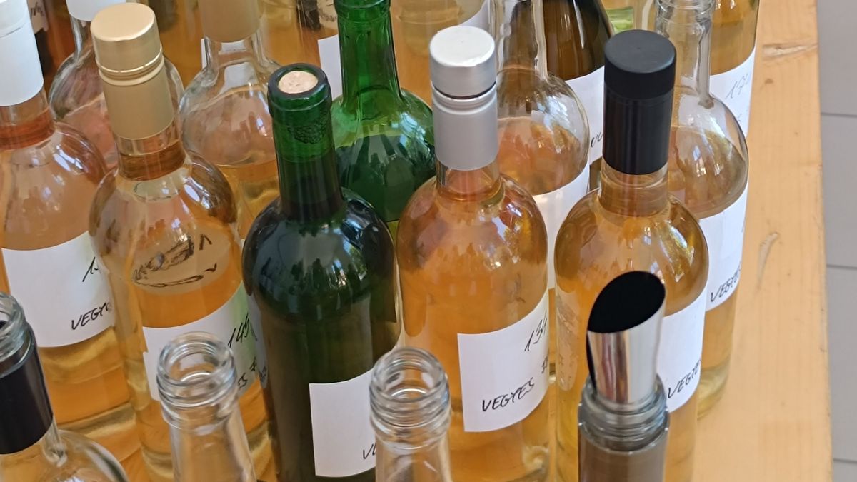 Kulcs és Rácalmás nem, Mór és Neszmély igen (képgalériával)