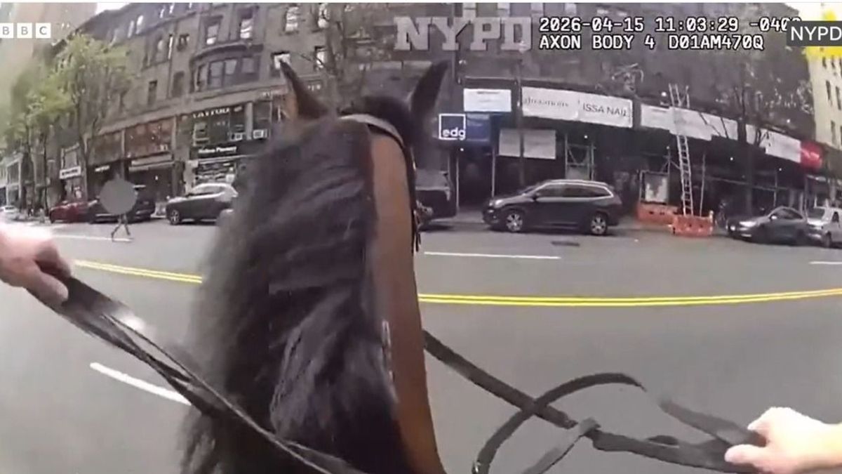 Western filmbe illő jelenet játszódott le New York utcáin