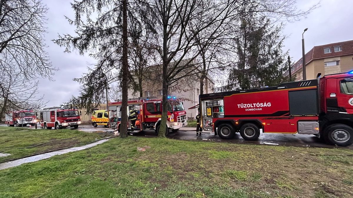 Egy hétköznapi eszköz okozta a bajt – percek alatt lángolt a lakás