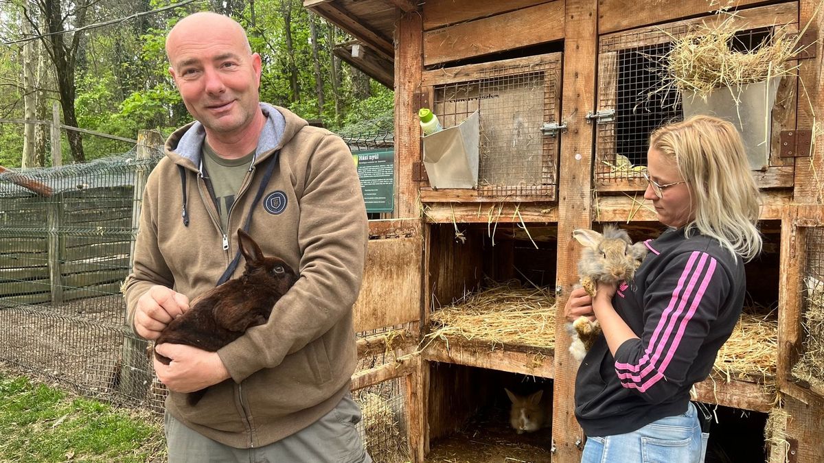 Ez most Dunaújváros legcukibb helye – mutatjuk, miért