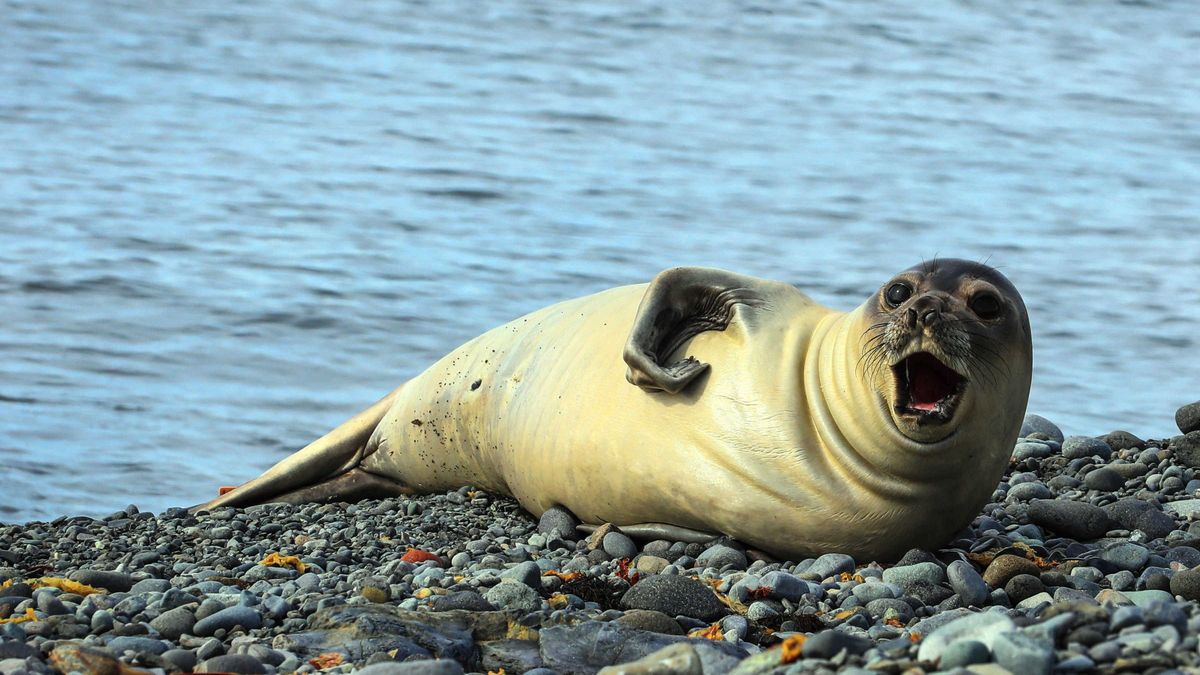 Mesterséges intelligenciával mérsékelhető a globális felmelegedés