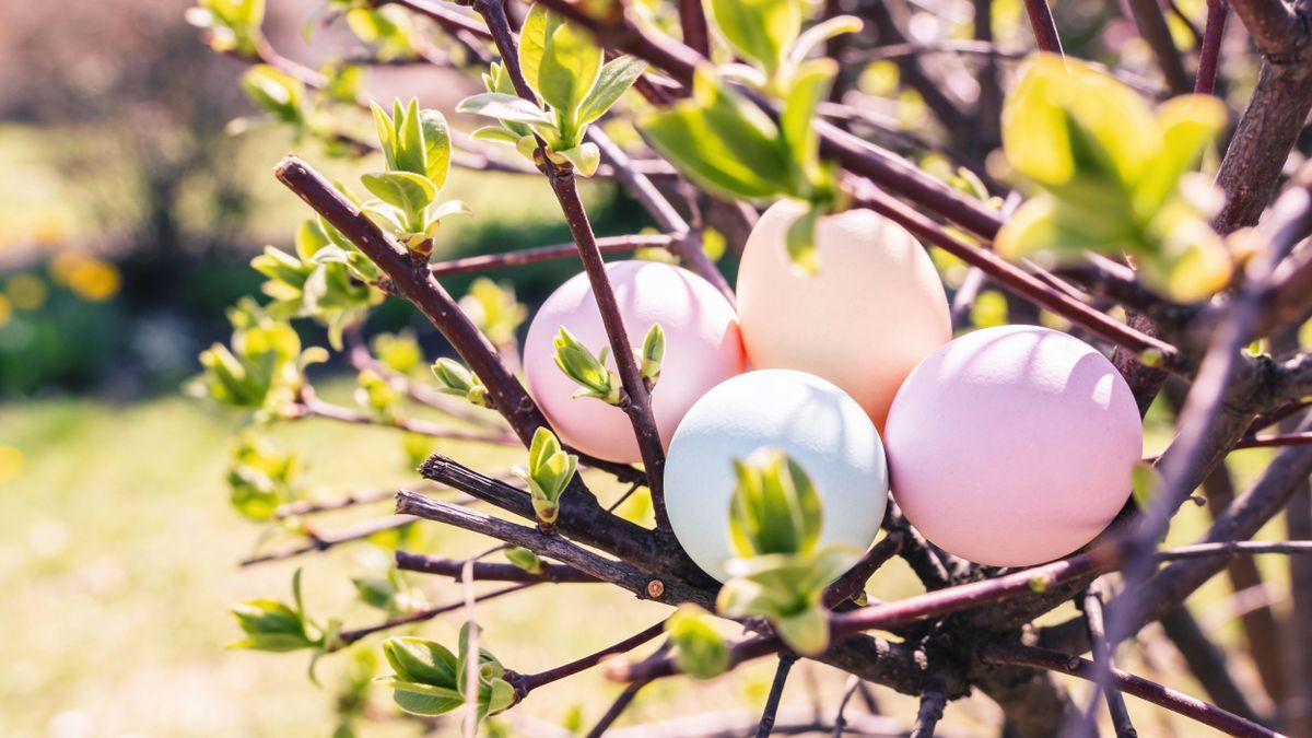 Változékony, enyhébb idő várható holnap Dunaújvárosban