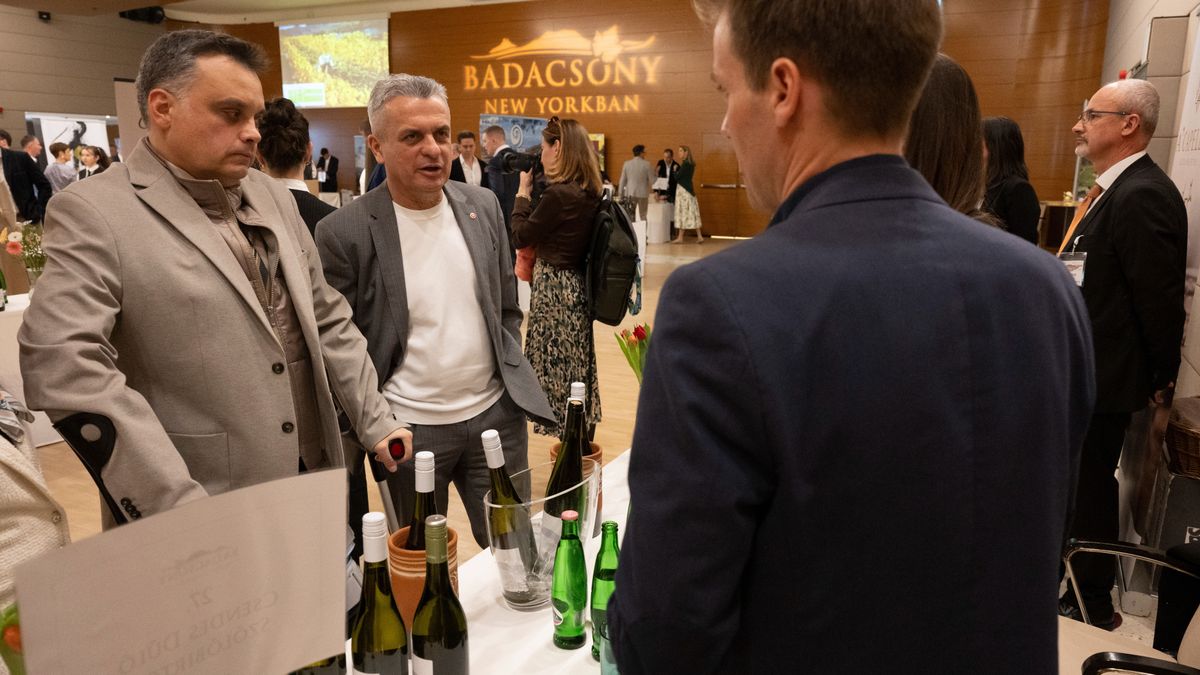 Így erősödik a magyar bor nemzetközi pozíciója