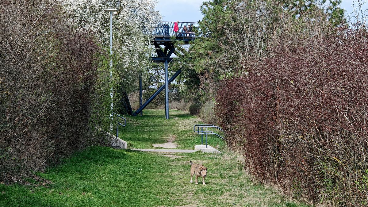 Sok napsütés jön, a szél is beleszól + videó